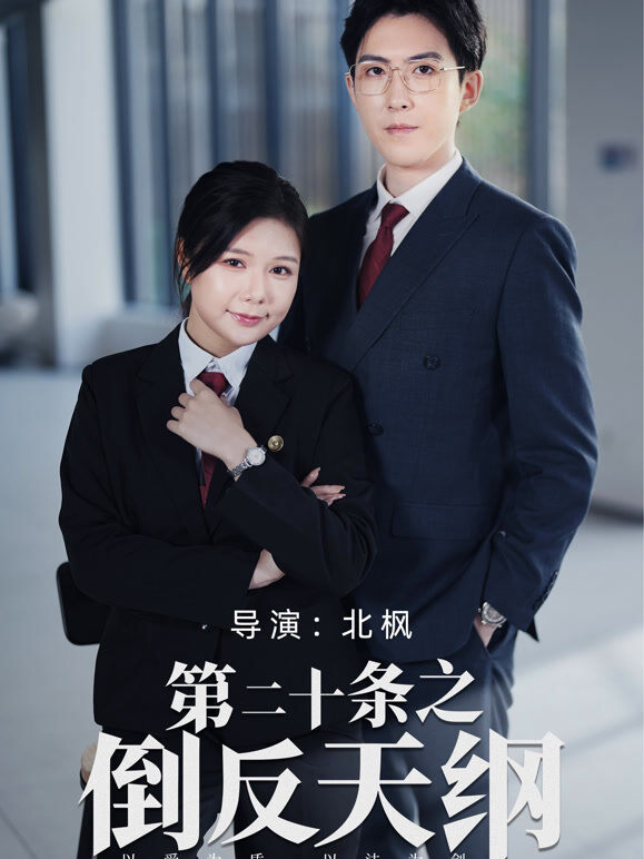 第二十条之倒反天纲