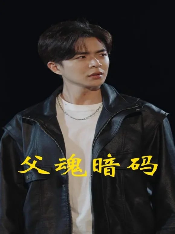 父魂暗码短剧海报