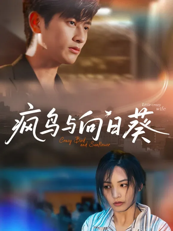 疯鸟与向日葵短剧海报