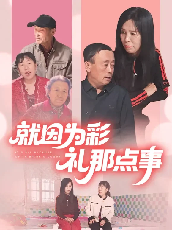 就因为彩礼那点事短剧海报