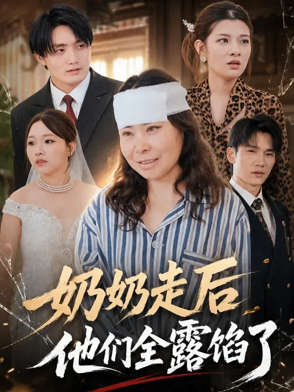 奶奶走后他们全露馅了短剧海报