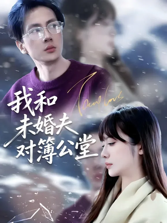 我和未婚夫对簿公堂短剧海报