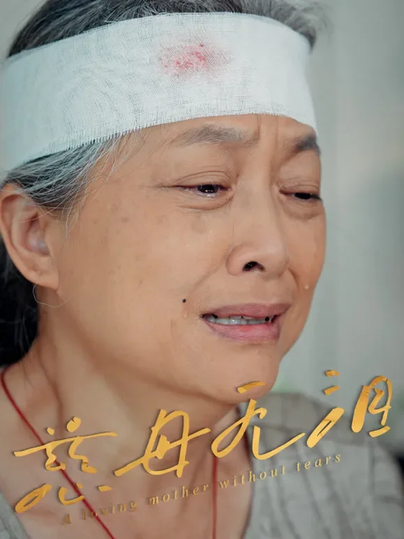 慈母无泪短剧海报