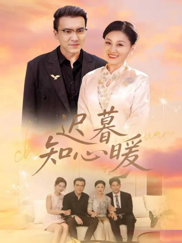 迟暮知心暖短剧海报
