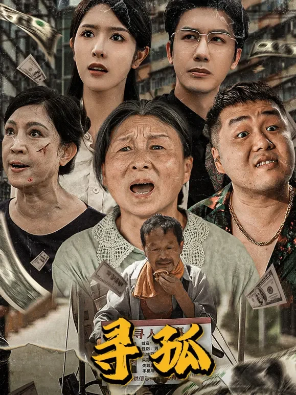 寻孤短剧海报