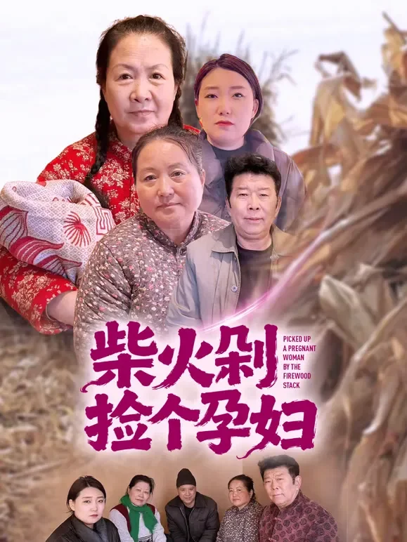 柴火剁捡个孕妇短剧海报