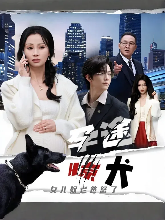 孕途惊犬，女儿奴老爸怒了短剧海报