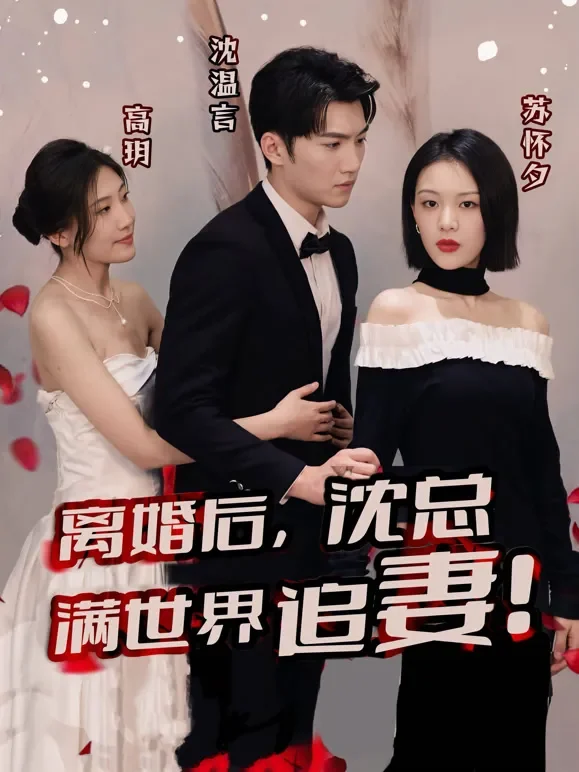 离婚后沈总满世界追妻短剧海报