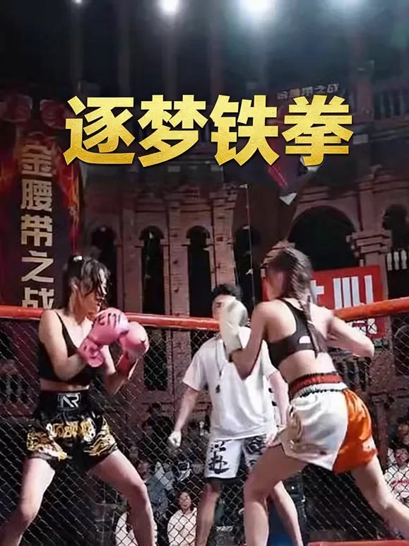 逐梦铁拳短剧海报