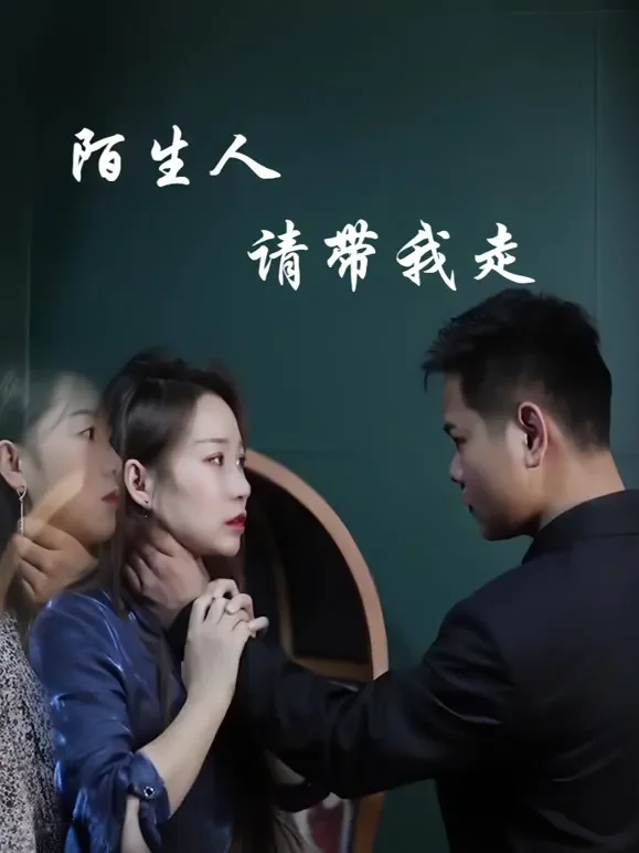 陌生人请带我走吧短剧海报