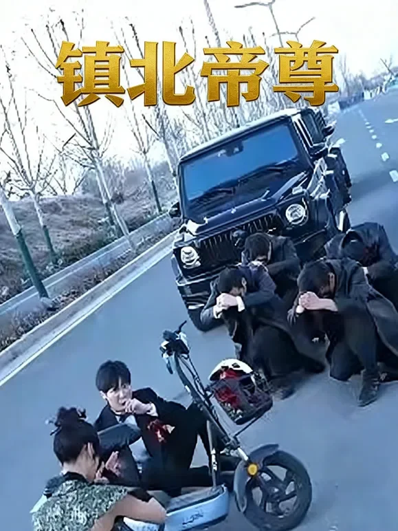 镇北帝尊短剧海报