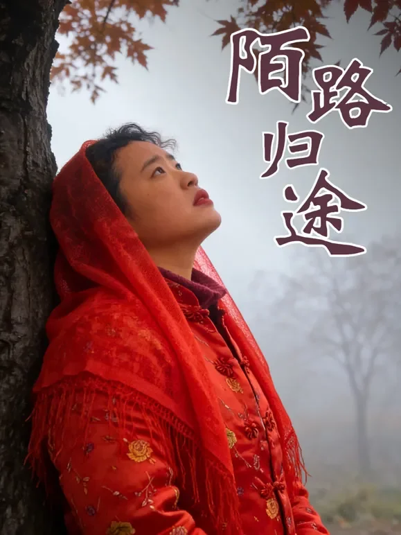 陌路归途短剧海报