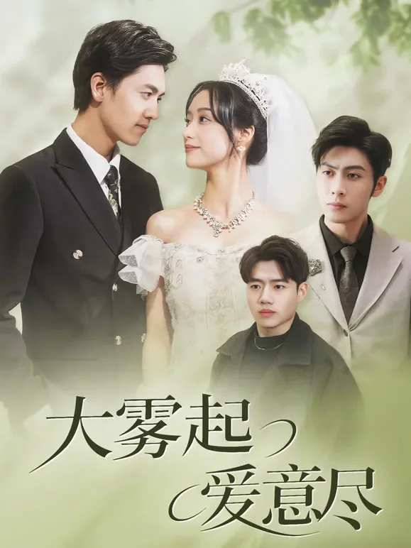 大雾起，爱意尽短剧海报