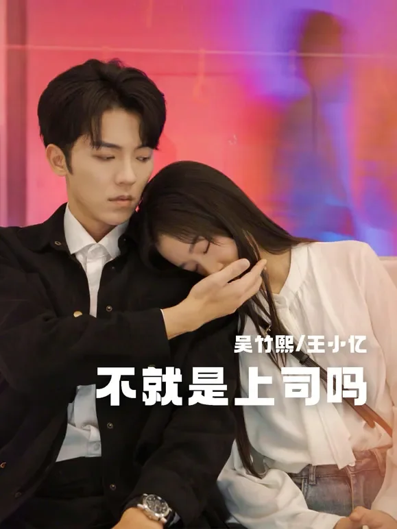 不就是上司吗短剧海报