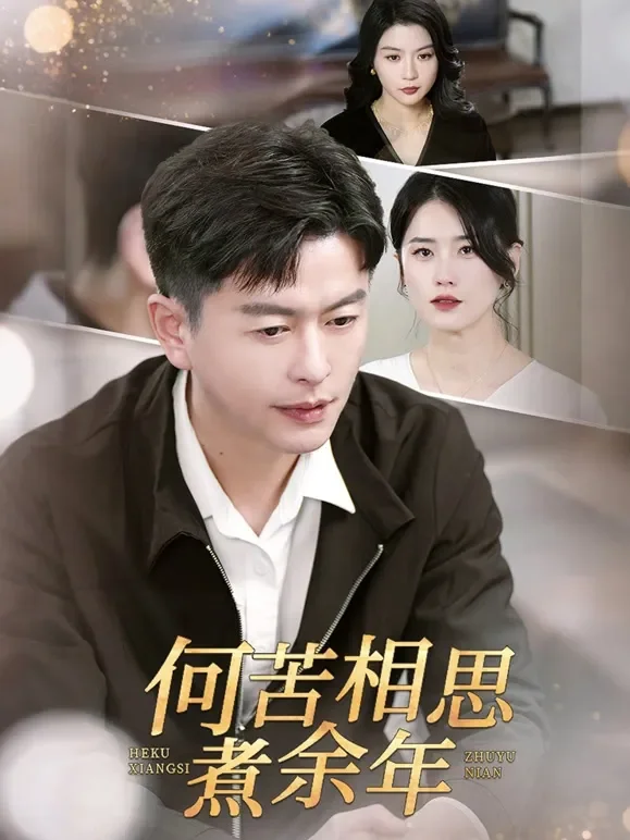 何苦相思煮余年短剧海报