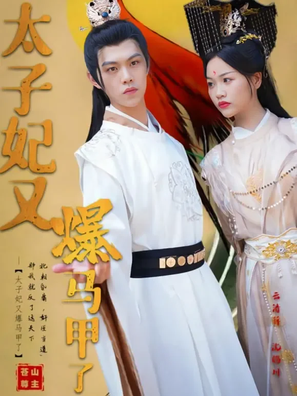 太子妃又爆马甲了短剧海报