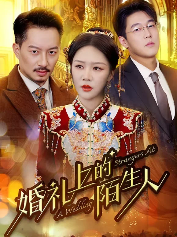 婚礼上的陌生人短剧海报