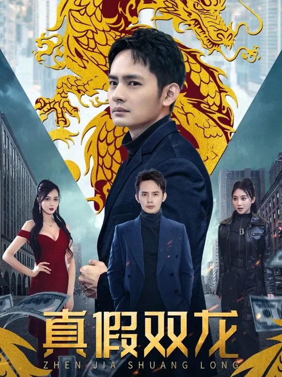真假双龙短剧海报