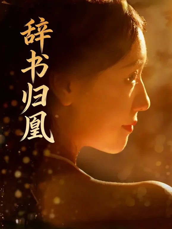 辞书归凰短剧海报