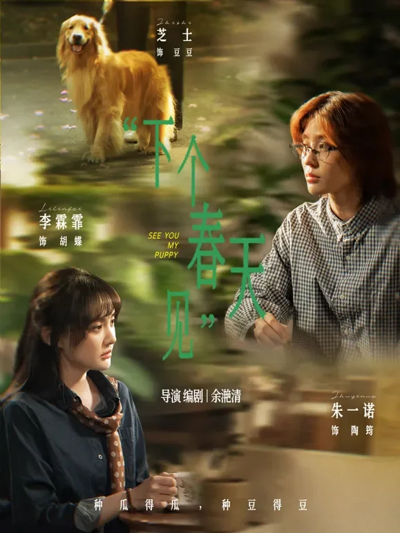 下个春天见短剧海报
