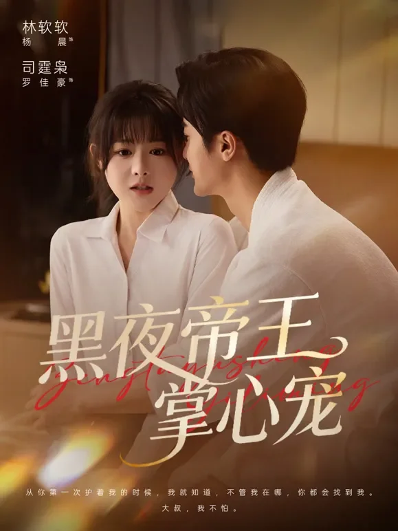 黑夜帝王掌心宠短剧海报