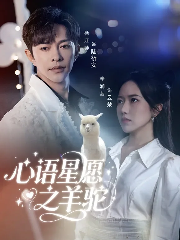 心语星愿之羊驼短剧海报