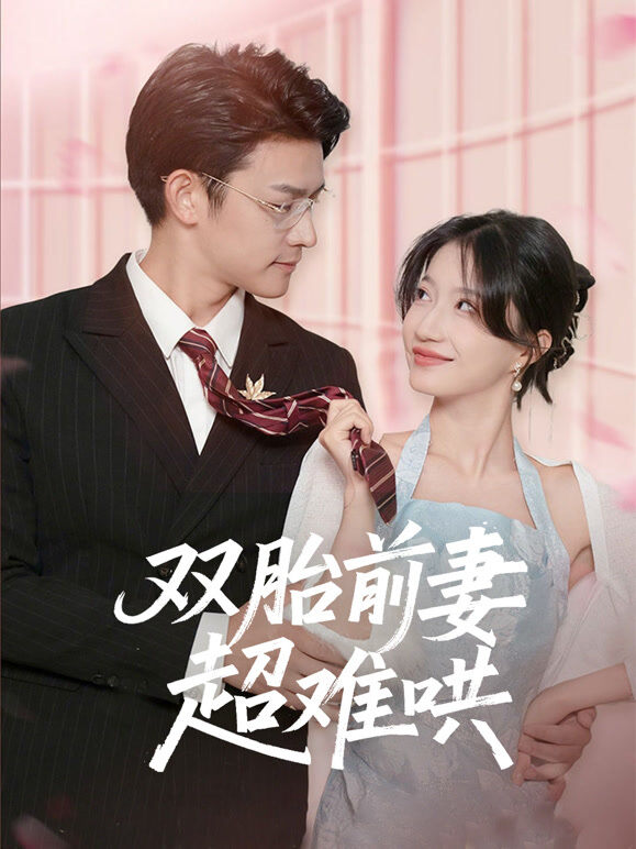 双胎前妻超难哄