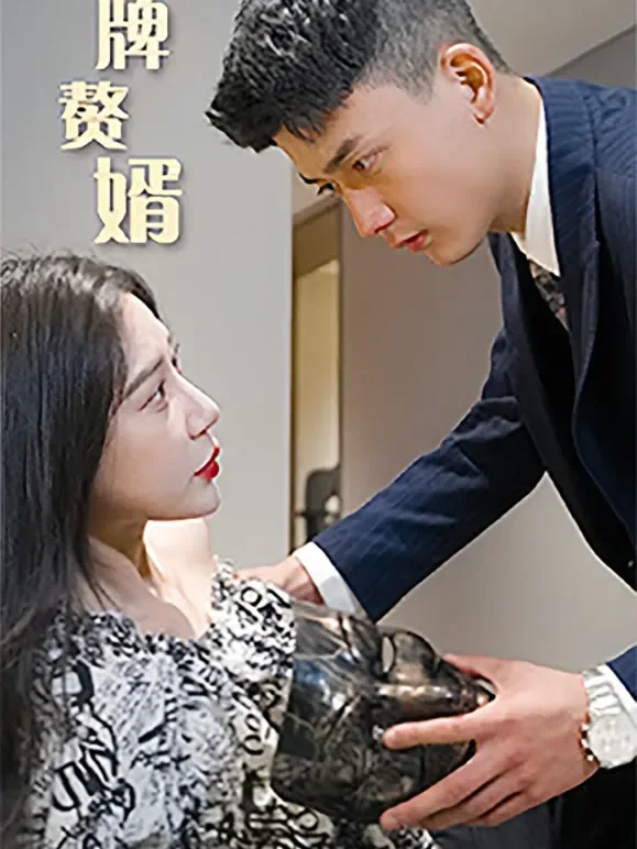 冒牌赘婿短剧海报