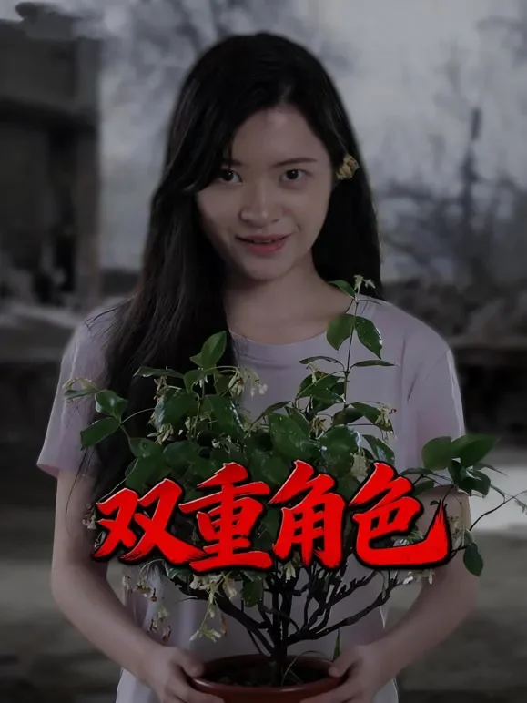 双重角色短剧海报