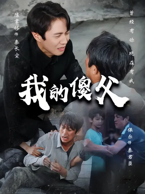 我的傻父短剧海报