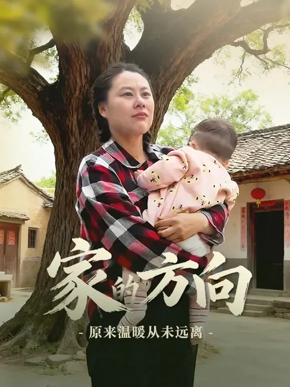家的方向短剧海报