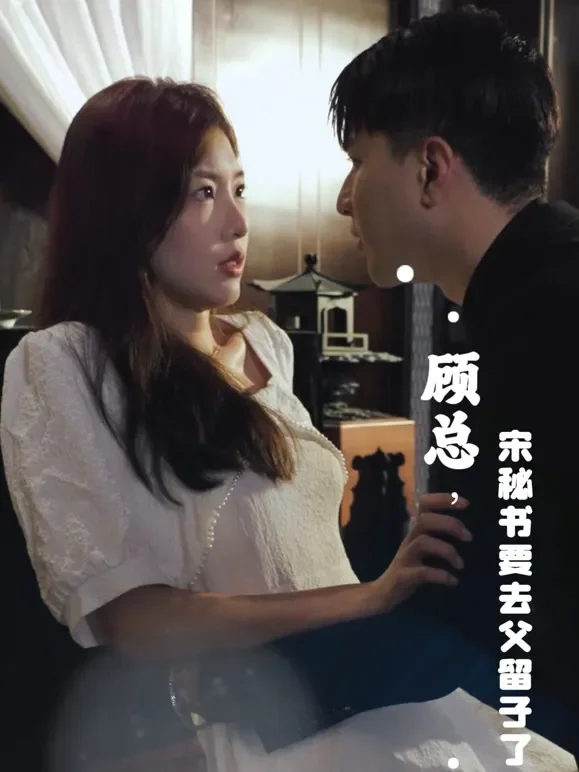 顾总，宋秘书要去父留子了短剧海报