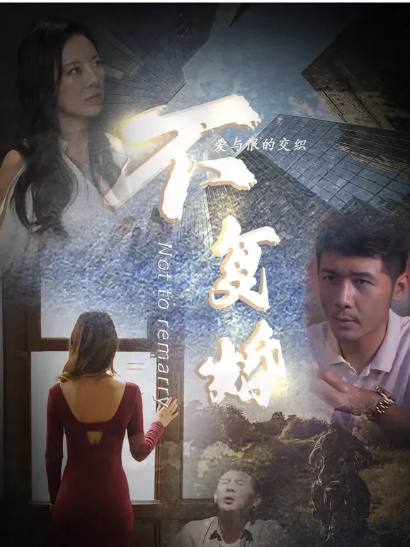 不复婚短剧海报
