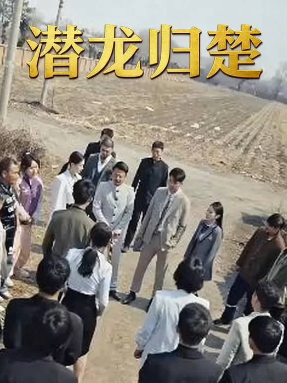 潜龙归楚短剧海报