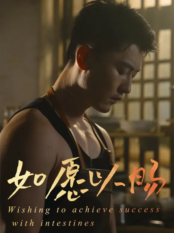 如愿以肠短剧海报
