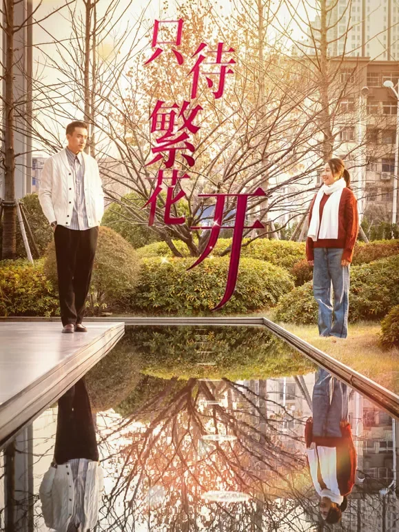 只待繁花开短剧海报