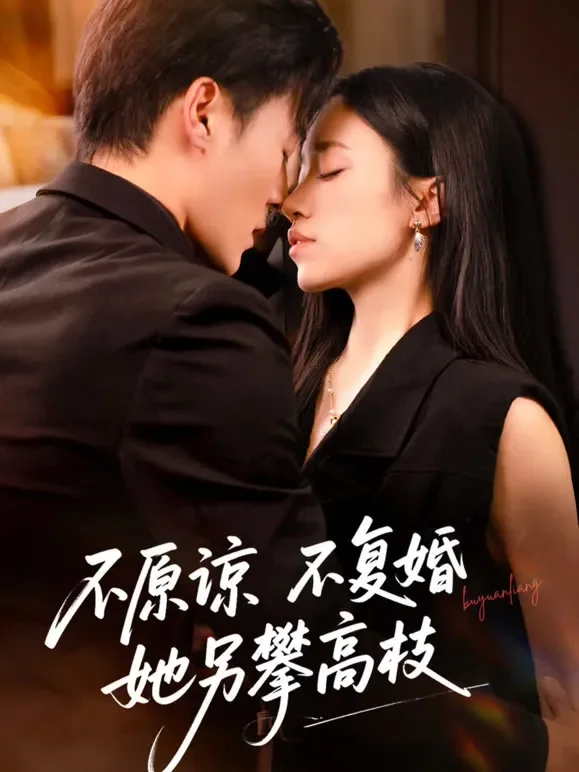 不原谅不复婚她另攀高枝短剧海报