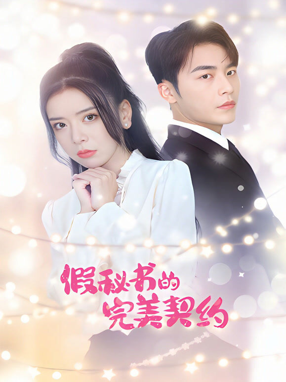 假秘书的完美契约