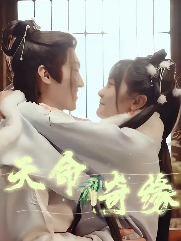 天命奇缘短剧海报