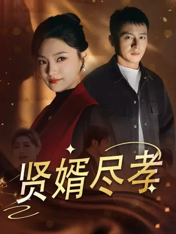 贤婿尽孝短剧海报