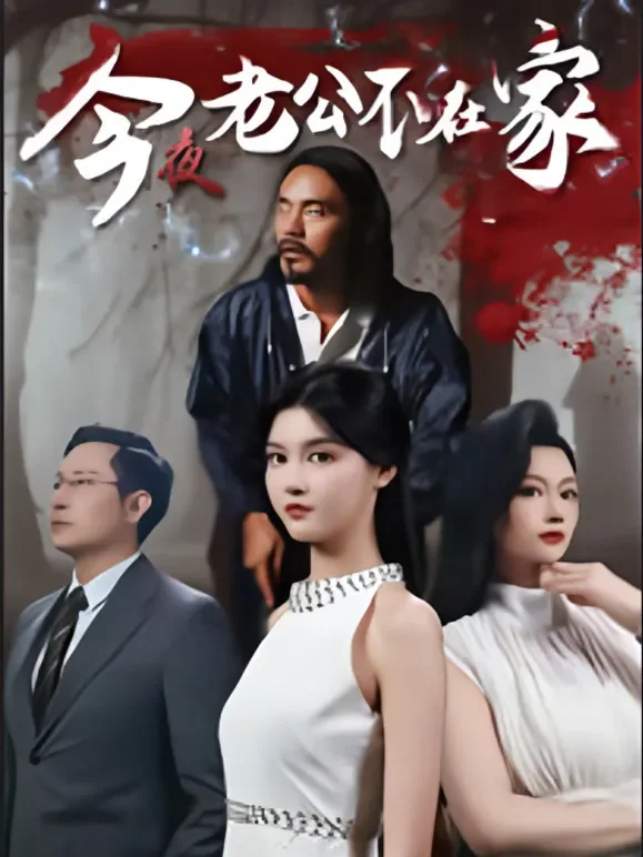 今夜老公不在家短剧海报