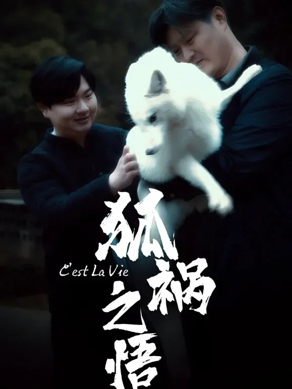 狐祸之悟短剧海报