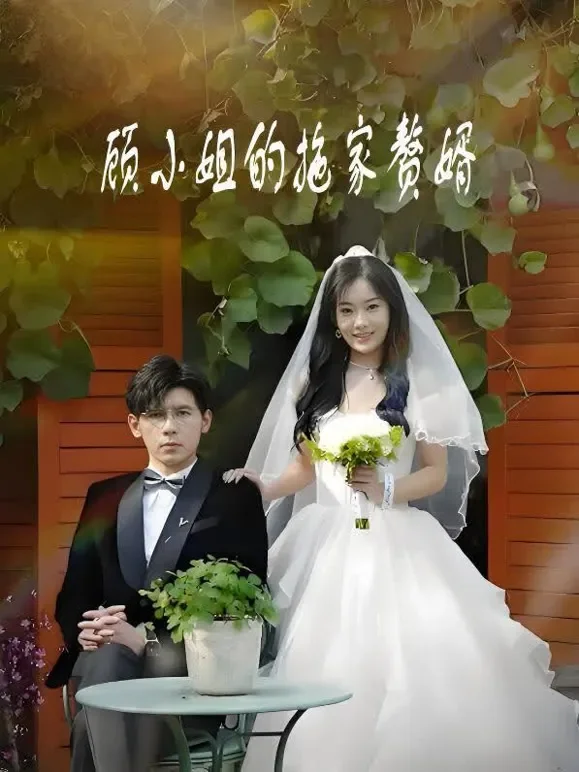 顾小姐的拖家赘婿短剧海报