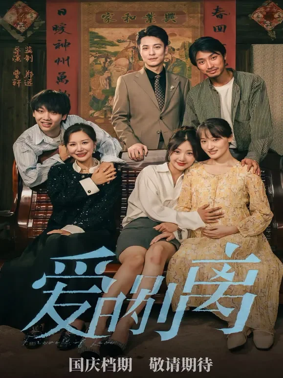 爱的别离短剧海报
