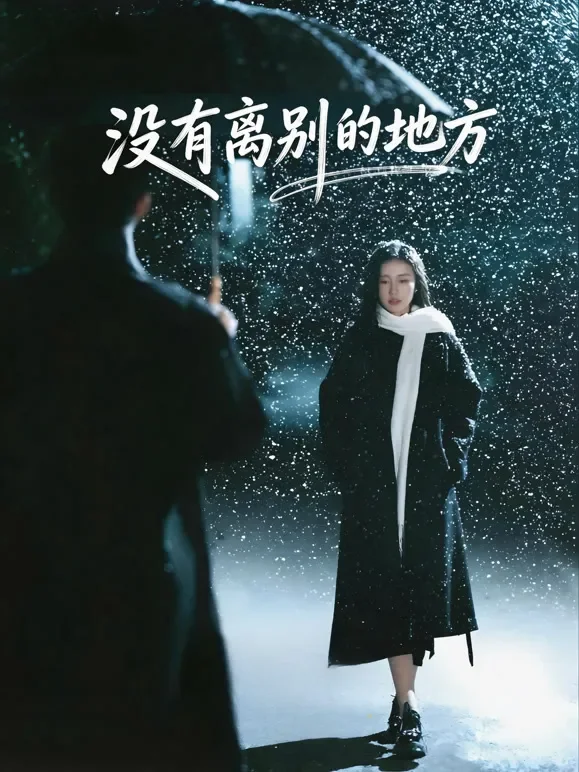 没有离别的地方短剧海报