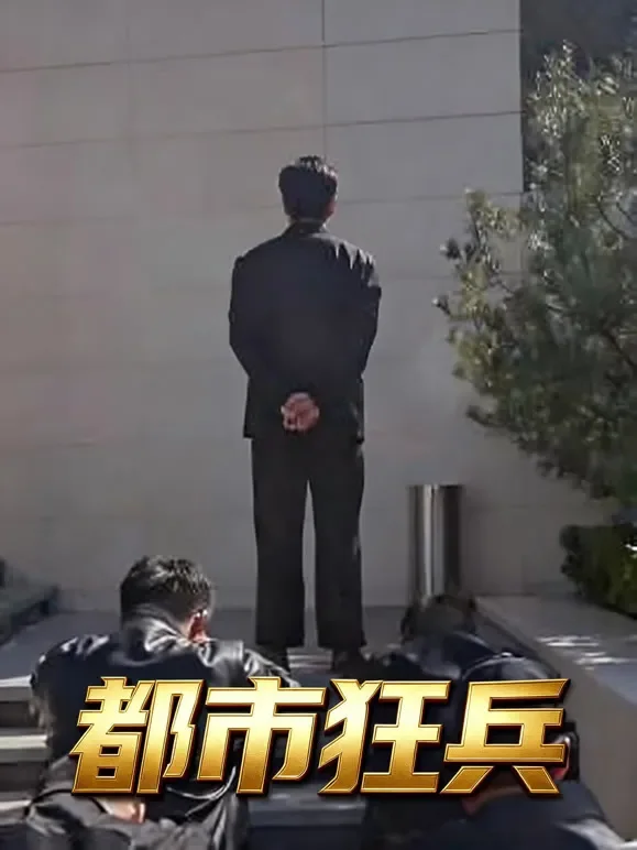都市狂兵短剧海报