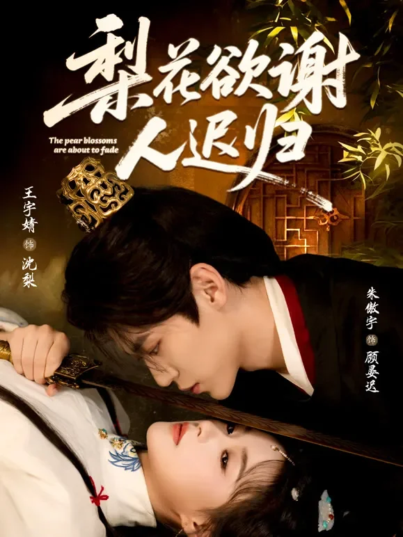 梨花欲谢人迟归短剧海报