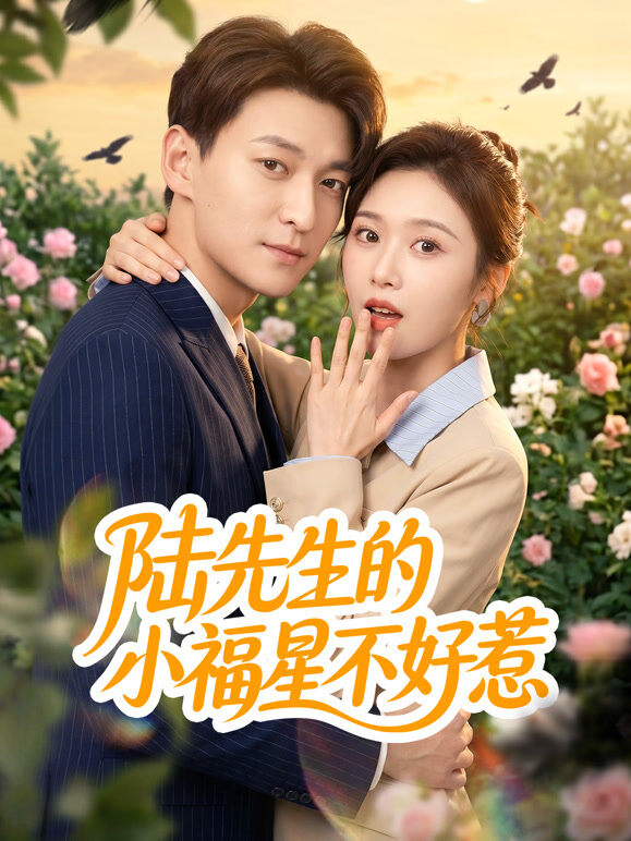 陆先生的小福星不好惹