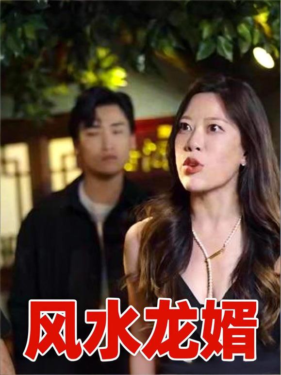 风水龙婿