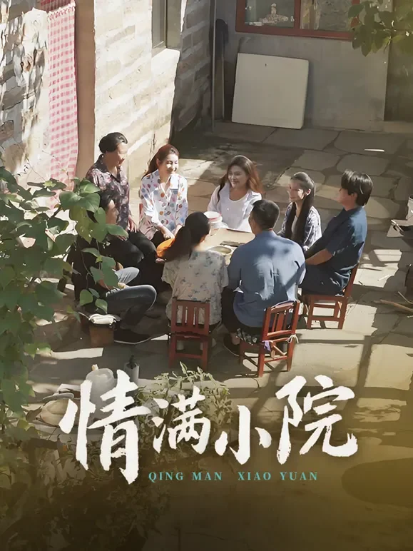 情满小院短剧海报